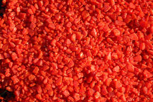 Tomato Red Opal 024